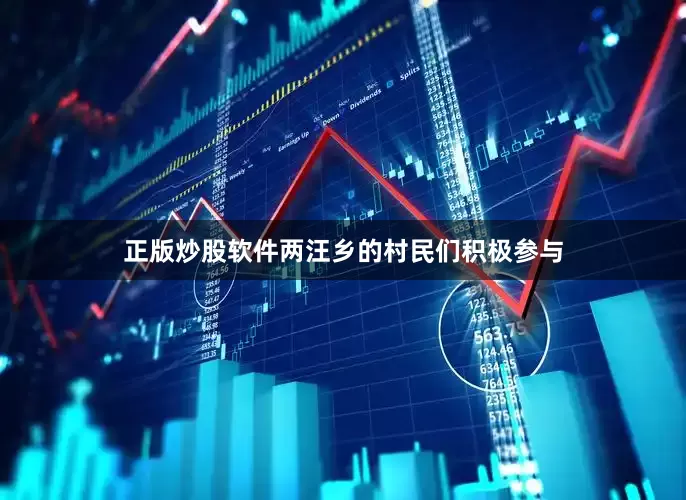正版炒股软件两汪乡的村民们积极参与