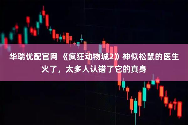 华瑞优配官网 《疯狂动物城2》神似松鼠的医生火了,太多人认错了它的真身